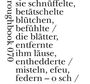 Text: "sie schnüffelte, betätschelte blütchen, befühlte / die blätter, entfernte ihm läuse, enthedderte / misteln, efeu, federn – o sch /". Links vertikal steht "roughbook 070".