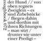 "der Hund // von oben regnets Zweiglein – es sind Zirbelstücke / fliegen dahin und dorthin mit ihren Richtungen"
