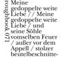 "Meine gedoppelte weite Liebe // Meine gedoppelte weite Liebe / und seine Söhne vomselben Feuer / außer vor dem Appell / stolzer beutelbeschnitte-". Linksseitig gedreht steht "roughbook 071".