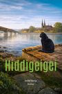 Titel: "Hiddigeigei", Autor: Detlef Bengs, Roman. Eine schwarze Katze sitzt am Fluss vor einer alten Stadtansicht in einer Illustration.