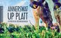 : Annerswat up Platt, Buch