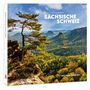 "Sächsische Schweiz", "Peter Schubert", "Deutsch | English". Ein alleinstehender Baum auf einer felsigen Klippe, dahinter Berge.