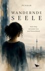 Titel: "Wandernde Seele" von Pendar. Ein Gemälde zeigt eine Frau von hinten, die auf eine Stadt mit Fernsehturm blickt.
