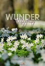 "Wunder der Schöpfung", "2027", "Fotografien und Bibelverse". Ein Wald mit blühenden weißen Blumen im Vordergrund.