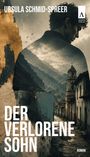 "Ursula Schmid-Spreer", "ADAKIA VERLAG", "DER VERLORENE SOHN", "ROMAN". Silhouette eines Mannes vor Bergen und Stadt.