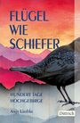 Anja Liedtke: Flügel wie Schiefer, Buch