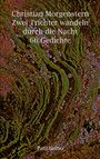 Christian Morgenstern: Zwei Trichter wandeln durch die Nacht, Buch