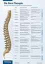 Matthias Schwarz: Die Dorn-Therapie. Poster 59,4 x 84 cm, Div.