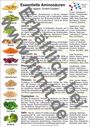 Essentielle Aminosäuren und vegane "Protein-Quellen"; Soja, Kerne, Erbsen, Nüsse, Linsen, Kidneybohnen, Haferflocken, Quinoa, Vollkornreis, Grünkohl, Brokkoli.