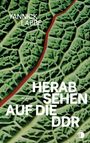 Yannick Labbé: Herabsehen auf die DDR, Buch