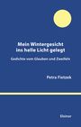 Petra Fietzek: Mein Wintergesicht ins helle Licht gelegt, Buch