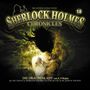 Klaus Peter Walter: Sherlock Holmes Chronicles (18) Die Drachenlady, CD