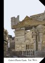 : Cairo's Plaster Casts, Buch