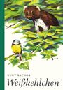 Kurt Bachor, Weißkehlchen. Illustration: Ein Marder blickt durch grüne Blätter, darunter eine kleine, bunte Meise.