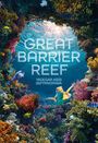 "GREAT BARRIER REEF, YADEGAR ASISI 360° PANORAMA." Farbenfrohe Korallen, Fische und eine Schildkröte in einer Unterwasserszene.