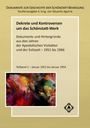 : Dekrete und Kontroversen um das Schönstatt-Werk, Buch