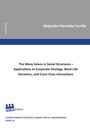 Alejandro Hermida Carrillo: The Many Selves in Social Structures - Applications to Corporate Strategy, Work-Life Dynamics, and Cross-Class Interactions, Buch