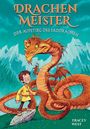 Tracey West: Drachenmeister Band 1 - Der Aufstieg des Erddrachen, Buch