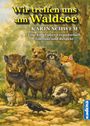 Karin Schwem: Wir treffen uns am Waldsee, Buch