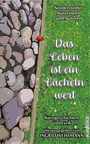 "Das Leben ist ein Lächeln wert" in grüner Landschaft; links Kieselsteine, ein Marienkäfer krabbelt. Cover für Kurzgeschichten.