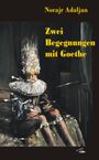 Norajr Adaljan: Zwei Begegnungen mit Goethe, Buch