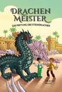 Tracey West: Drachenmeister 17, Buch