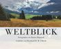 Bernhard R. M. Ulbrich: Weltblick, Buch