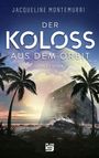 Jacqueline Montemurri: Koloss aus dem Orbit, Buch