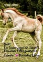 Susanne Kammer: SHAY. Ein Zauberwesen mit Zukunft. Eine kleine Fohlengeschichte., Buch