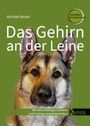 "Das Gehirn an der Leine" von Michael Moser. Ein Hund auf grünem Hintergrund. Text: Gewaltfrei. Evidenzbasiert.