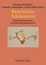 : Bruchlinie Adoleszenz, Buch