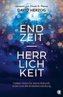 David Herzog: Endzeit-Herrlichkeit, Buch