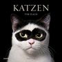 Tim Flach: Katzen, Buch