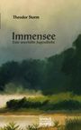 Theodor Storm: Immensee, Buch