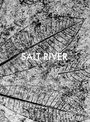 Sebastian Posingis: Salt River, Buch