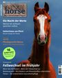 Titel: natural horse. Themen: Achtsamkeit, Heilströmen, Pferdekommunikation. Großes Pferdeporträt vor blauem Hintergrund.