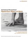 Apichatpong Weerasethakul: Mysterious Object At Noon (OmU), DVD