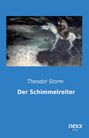 Theodor Storm: Der Schimmelreiter, Buch