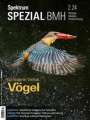 : Spektrum Spezial BMH 2/2024 - Vögel, Buch