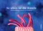 "So allein ist die Koralle" über Meeresbiologie, auf blauem Hintergrund mit rot-pinken Korallenillustration.