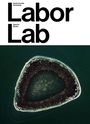 Esther Leslie: Sarah Ancelle Schönfeld: Labor Lab, Buch