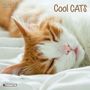 : Cool Cats 2025, KAL