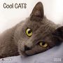 : Cool Cats 2026, KAL