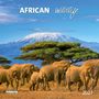 "African Wildlife 2027". Elefantenherde geht vor Akazienbäumen, im Hintergrund der schneebedeckte Kilimandscharo.