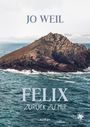 Text: "JO WEIL, FELIX, ZURÜCK ZU MIR, ROMAN". Im Hintergrund eine felsige Insel im Meer. Markenlogo unten rechts.