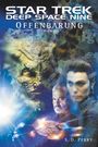 S. D. Perry: Star Trek Deep Space Nine 2, Buch