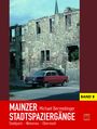 Michael Bermeitinger: Mainzer Stadtspaziergänge VIII, Buch