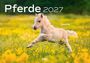 Text: "Edyta Trojańska-Koch", "Pferde 2027", "Aurora". Ein weißes Pferd läuft durch ein Feld bei Sonnenuntergang.