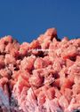 : After Nature | Ulrike Crespo Photography Prize 2025, Buch