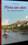 Hans Georg Hoyer: Pirna um 1900, Buch
